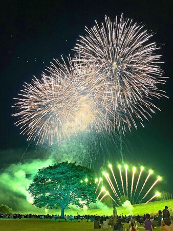 長岡花火ローズファンタジー開催（国営越後丘陵公園）