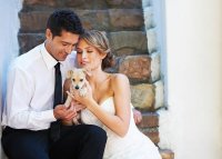 ＜愛犬と大切な人と★特別な高原ウエディングフォトプラン＞サービス提供開始記念　1組限定！ウエディングフォトモデル募集　【With DOGs Club】～フォレストヒルズ那須～