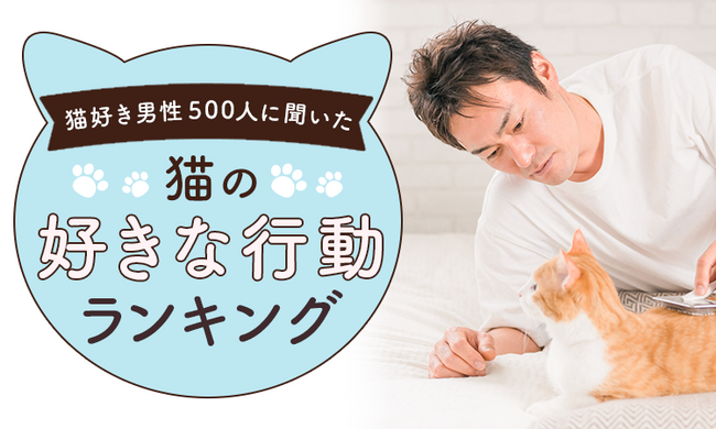 【全国の猫好き男性300人に聞いた】猫の好きな行動ランキング！