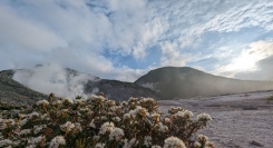 【北海道　弟子屈町】硫黄山のエゾイソツツジが満開に！硫黄山MOKMOKシアターもエゾイソツツジをイメージして衣替えをしました！