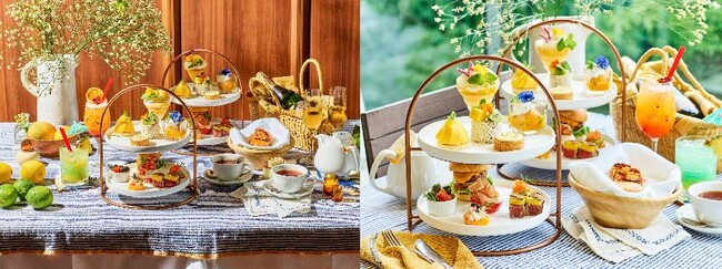 イル・ルピーノ・プライム 夏のアフタヌーンティーが6月17日(月)よりスタートパイナップルやパッションフルーツが彩るスイーツとUSDA PRIMEビーフのセイボリーが楽しめる！