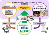 NITEバイオテクノロジーセンター、伝統の酒まんじゅうの発酵に関与する微生物の提供を開始