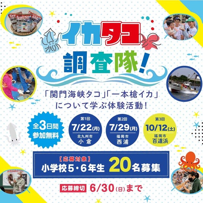 豊かな地元の海を守るための体験学習プログラム【海と日本プロジェクト×イカタコ調査隊！】～参加者募集中～