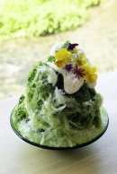 かき氷　抹茶