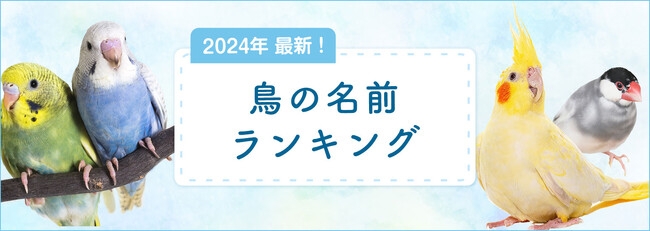 SBIプリズム少短、【2024年最新】鳥の名前ランキングを発表！