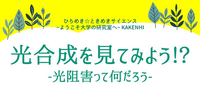 【中高生向け科学プログラム】ひらめき☆ときめきサイエンス ～ようこそ大学の研究室へ～ KAKENHI　「光合成を見てみよう！？ -光阻害って何だろう-」を開催