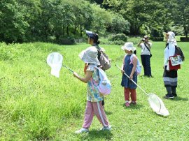 あなただけの1羽に出会いに行こう! あなただけの1羽に出会いに行こう!