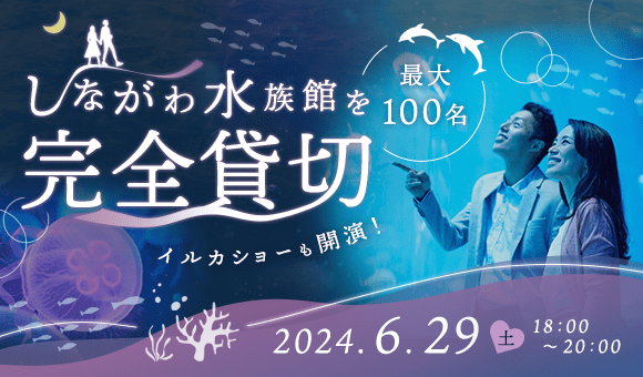 夜の『しながわ水族館』を貸切り、最大100名の婚活パーティーを開催。イルカのショーなど自然と距離が縮まる催しも。