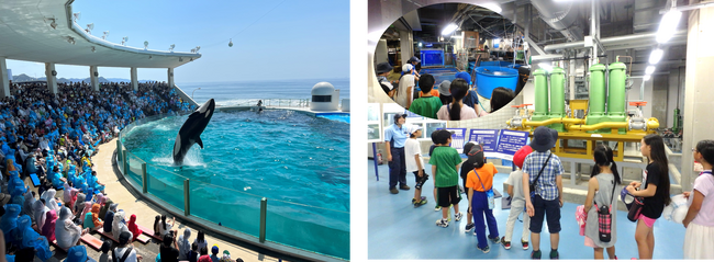 【７/29・８/23出発】夜の水族館探険ツアー