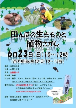 駅徒歩10分の街ナカで生き物の観察イベント