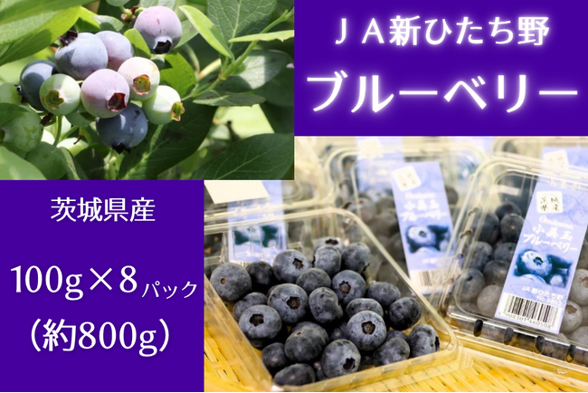 今が旬！程よい甘さと酸味が広がる茨城県産「ブルーベリー」を「ＪＡタウン」のショップ「いいものいっぱい広場」で販売開始！