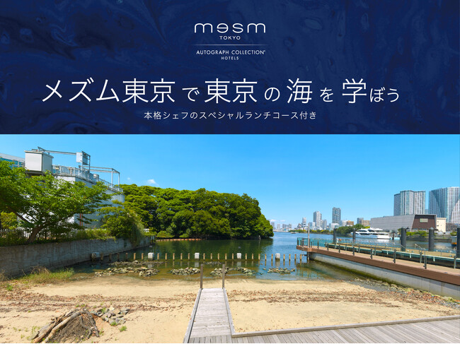 メズム東京、オートグラフ コレクション TOKYO WAVES WORKSHOPチャプター２夏休みの自由研究企画「メズム東京で東京の海を学ぼう」 2024年8月3日(土)、4日(日) 開催