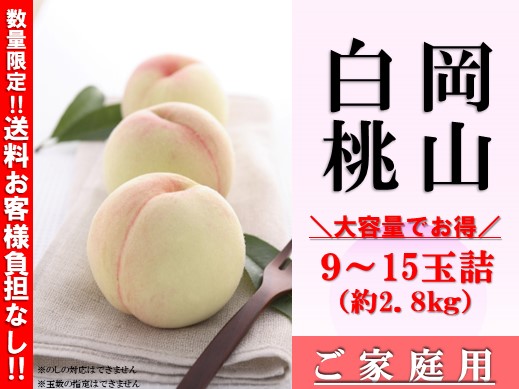 産地直送通販サイト「ＪＡタウン」ショップの「おいしいおかやま」で「岡山白桃お試しキャンペーン」開催中！