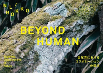 神戸六甲ミーツ・アート2024 beyond オランダゆかりのアーティストが社会課題をテーマに作品を出展 コンセプトの「BEYOND HUMAN」を発表