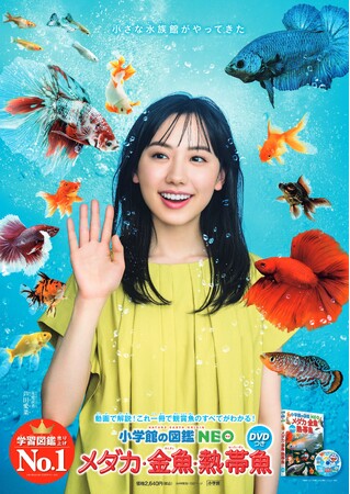 20歳を迎える芦田愛菜が新ビジュアルに！　小学館の図鑑NEO「メダカ・金魚・熱帯魚　DVDつき」6月25日発売！！