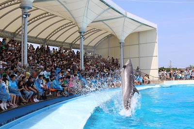 過去最多の水かけに挑戦！イルカショー「オールスターズ」結成！夏のイベント2024年7月6日（土）よりスタート！