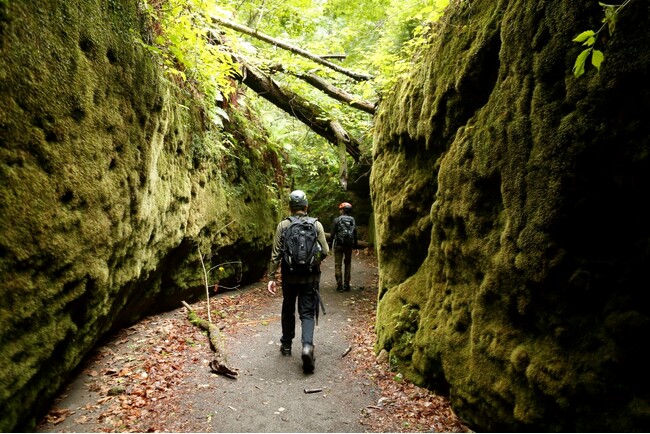 北海道支笏湖の自然から生まれたパワースポット『苔の回廊』を堪能！「しこつ湖 鶴雅リゾートスパ 水の謌」で体験する特別な宿泊プランを販売開始！