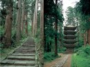 日本遺産・羽黒山杉並木 日本遺産・羽黒山杉並木
