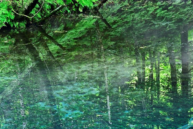 THE GALLERYセレクション展　浅野 久男　写真展　「Past Light　光にふれる」 を開催