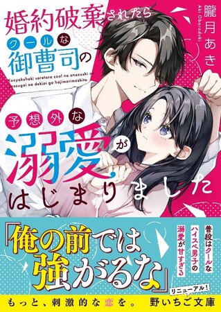 もっと、刺激的な恋を。10代後半女子向け書籍レーベル『野いちご文庫』が全国書店にて6月25日(火）発売開始! !