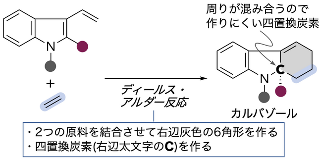 新薬開発に役立つ複雑な化合物の1工程合成に成功 ~ランタノイドが拓く創薬と環境の未来~