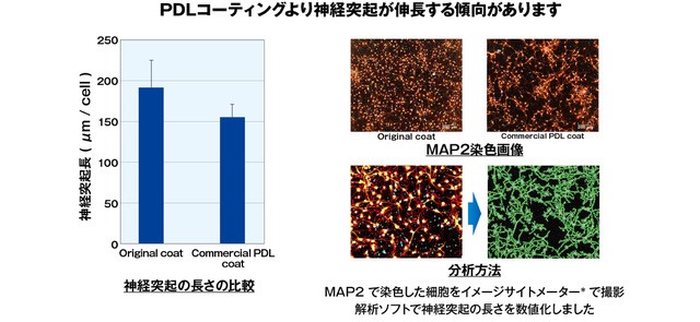 日本ゼオン、細胞培養用マイクロプレートの新製品を市場投入