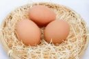 石垣島産平飼い卵