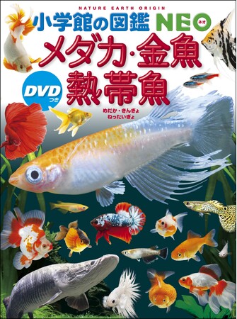 大人気シリーズの最新刊！　[小学館の図鑑NEO]『メダカ・金魚・熱帯魚　DVDつき』　 [小学館の図鑑NEOポケット]『鉄道』『プランクトン』　計3冊、同時発売！！