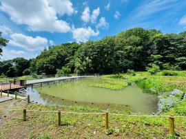 宮嶽谷戸 宮嶽谷戸