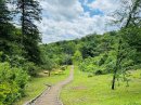 さくらの道(平山城址公園) さくらの道(平山城址公園)