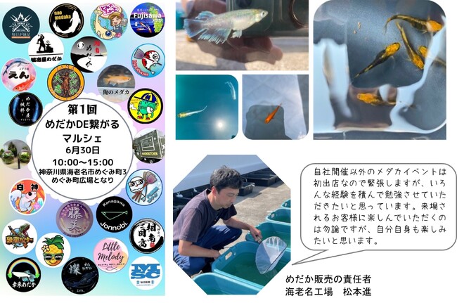 6/30「第1回めだかDE繋がるマルシェ」に出店【東日印刷グループ 毎日新聞首都圏センター海老名工場】