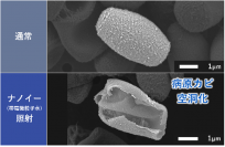 夏に咳?カビが原因? 病原カビ※1をナノイー(帯電微粒子水)技術で99%殺菌