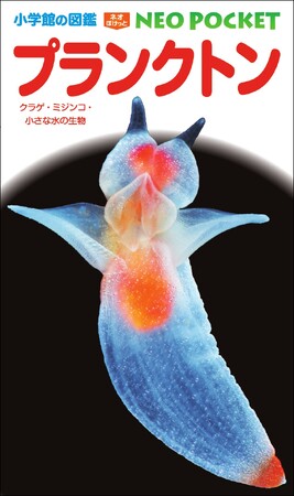 日本初の約500種掲載の、本格派の児童向けプランクトン図鑑が登場！　小学館の図鑑NEO POCKET(ネオぽけっと)『プランクトン』は、こうして生まれた！！