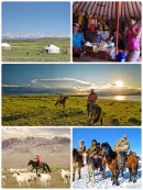 モンゴル遊牧民の様子