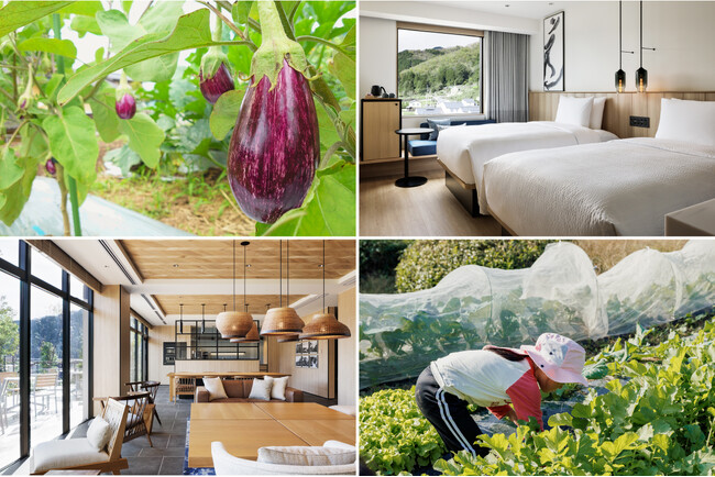 【フェアフィールド・バイ・マリオット 道の駅プロジェクト】全国初の農業体験型金融教育「やぶチャレ」7月28日開催！