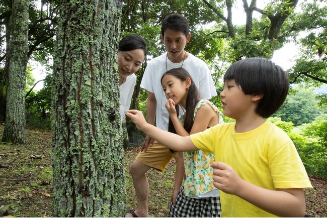 アドベンチャーリゾート「さがみ湖ＭＯＲＩ ＭＯＲＩ」新アトラクション・関東最大級の巨大水遊び広場など夏季限定イベント情報