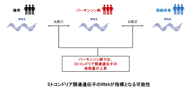 パーキンソン病患者に特異的な皮脂RNA情報の同定に成功