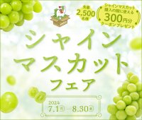 産地直送通販サイト「ＪＡタウン」で「シャインマスカットフェア」を開催！ ～シャインマスカット購入時に使える300円分の ＪＡタウンクーポンを先着2,500人にプレゼント～