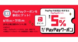 Temu x PayPayポイント5%還元のチャンス！6月15日（土）より開催