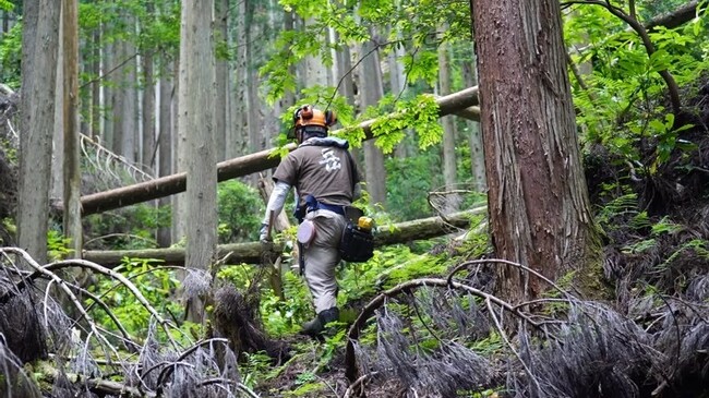 小5から参加可能!里山で道づくりとマキ割り<兵庫県川西市>
