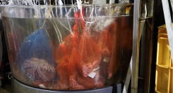 －日本発の”水を変える技術” 「ウルトラファインバブル」発生装置－魚のへい死抑制効果の実現へ苫小牧漁業協同組合の一次保管生簀（いけす）に導入