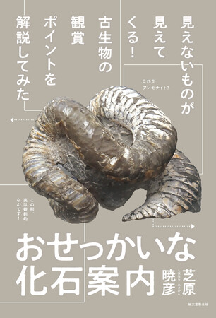 【博物館へ行こう】見る目が変わる化石観察ガイドがまもなく刊行!