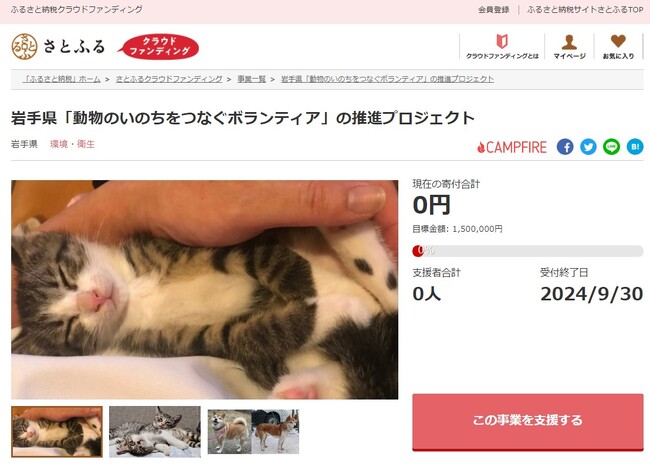 岩手県とさとふる、保護犬や保護猫の命を新しい飼い主へつなぐため、寄付受け付けを開始