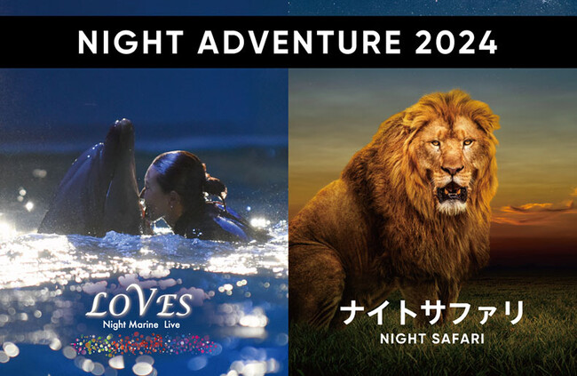 夏のアドベンチャーワールドは夜も感動が止まらない！７月２６日（金）～８月２５日（日）午後８時まで夜間特別営業を開催『NIGHT ADVENTURE ２０２４』