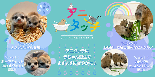 屋内型ふれあい動物園「アニタッチ」は赤ちゃん誕生でますますにぎやかに！