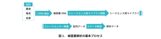 長年課題であった「細菌叢DNA抽出」方法の最適化で、信頼性の高い細菌叢解析を支援するアカデミア向けサービスを開始