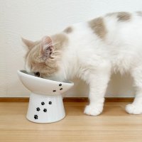 産みの親は猫ちゃんとお客様！15度の傾斜でフードが手前に集まり食べやすい脚付「にゃにゃめ」フードボウルが新発売