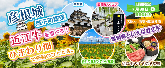 ちょっとお土産追加しました！！お一人様13,800円！〈大阪駅・天満橋・なんば発着〉7月30日(火) 彦根城城下町散策と近江牛を食べる!!️ひまわり畑で感動のひととき。〈添乗員付き〉日帰りバスツアー