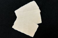 愛知県下最大級の教室数を誇る書道教室「田中書道学院」「越前和紙」を使用した受講者向けのイベントを開催