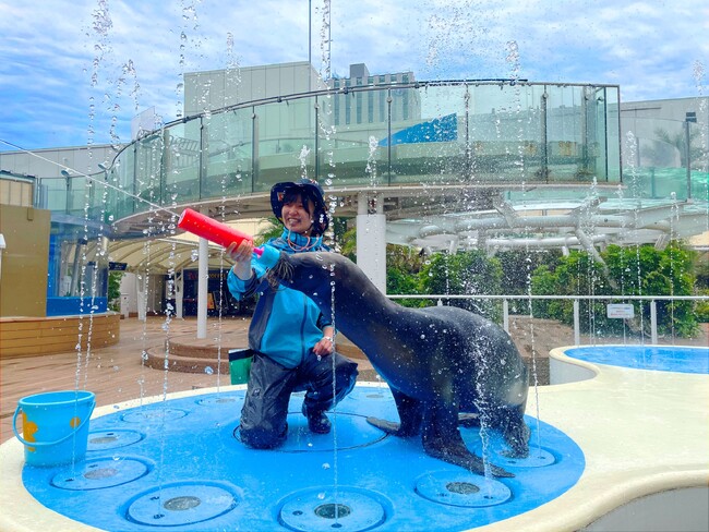 サンシャイン水族館の夏イベント～サンシャイン水族館で夏を思いっきり楽しもう！～